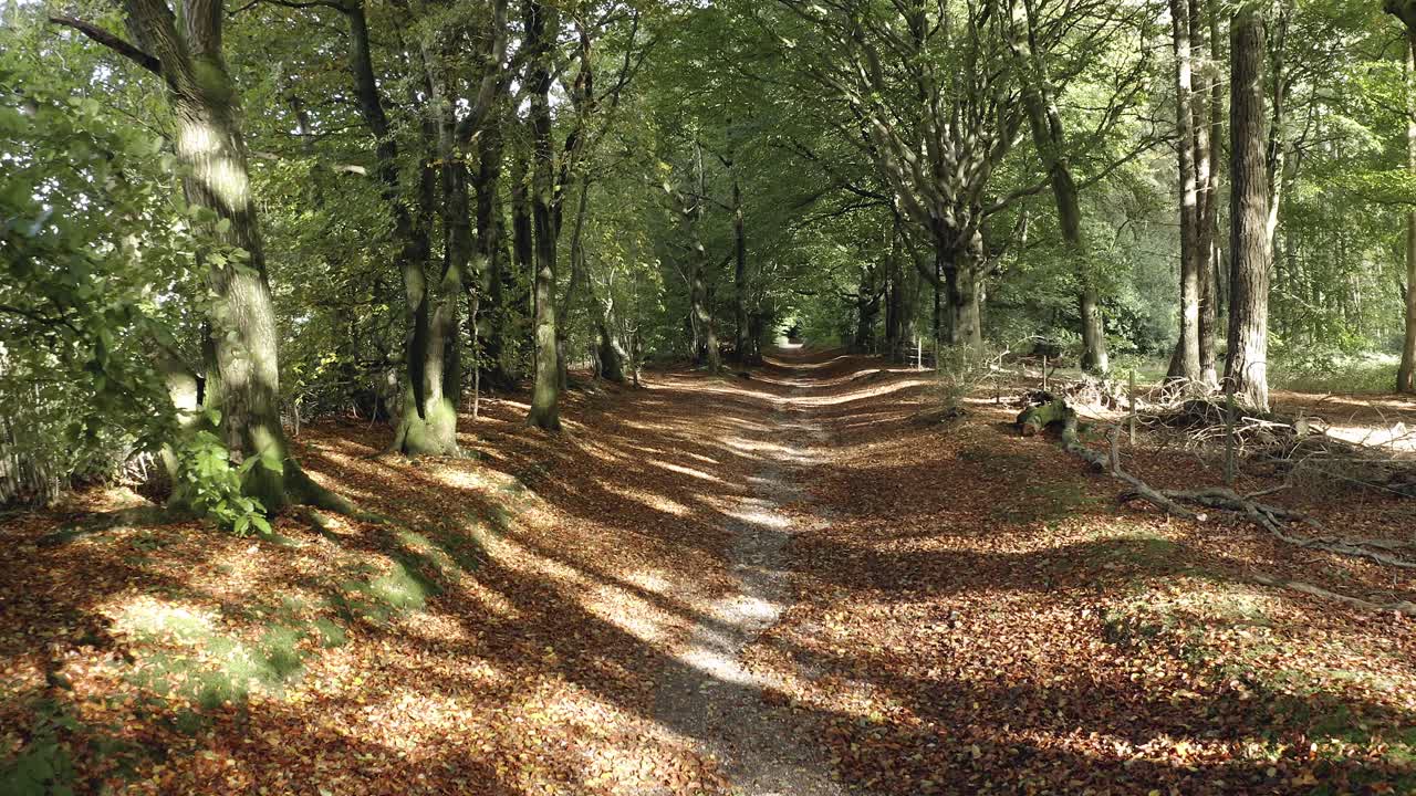 AERIAL - Point of view shot hiking in South Down Way, England, wide shot forward