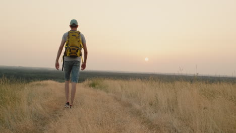 rear view of person walking on a field road