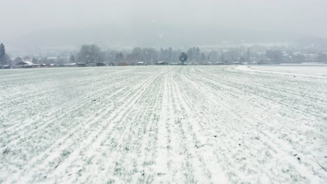 forward flight over field towards a tree and summer gardens covered in snow from the blizzard