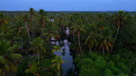 Kerala,-Gottes-Eigenes-Land,-Alleppey,-Kokosnussbaum-Und-Backwaters-In-Kerala