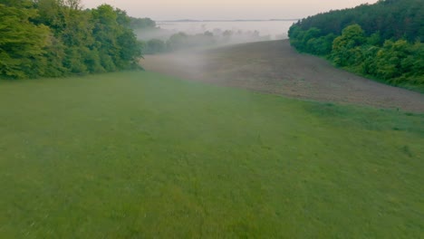 Rolling hills, mist drifting, cinematic vibe, muted green