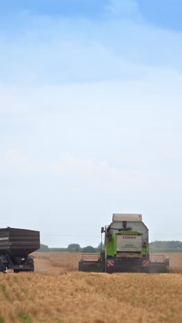 large machines collect wheat. large harvester harvests grain in the sun day