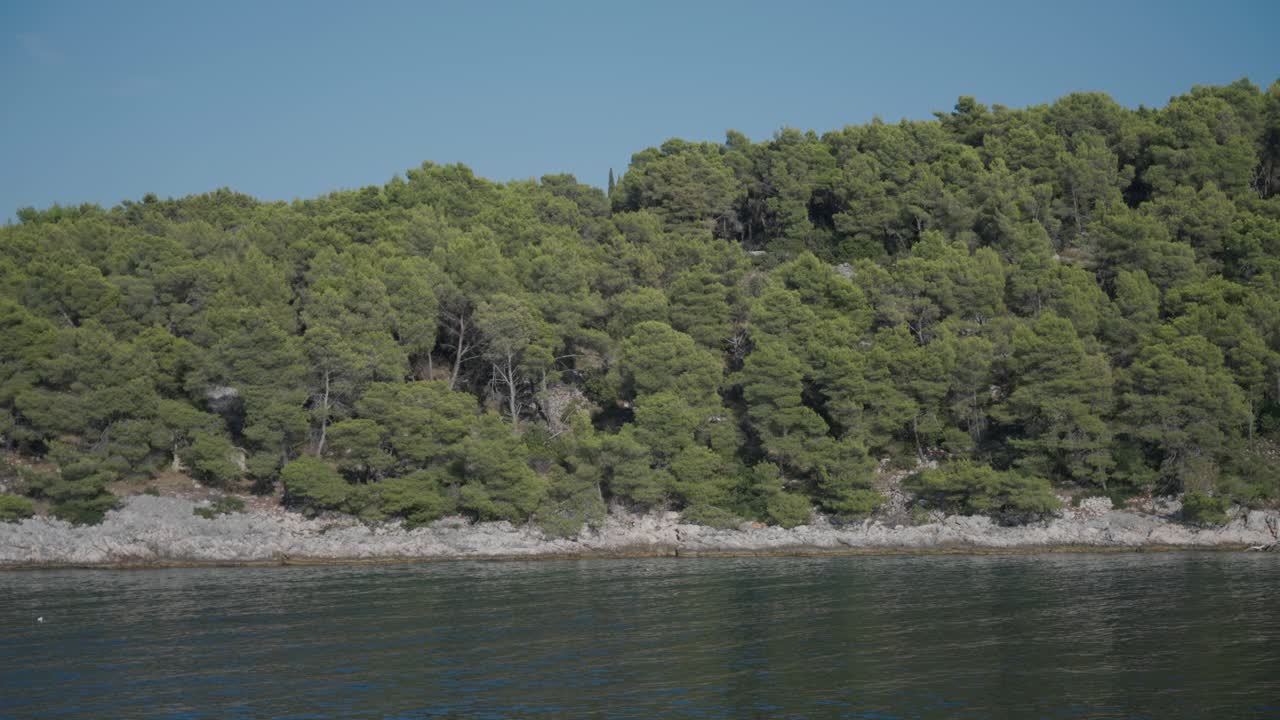 Dense Trees Covering Rocky Mountain On The Calm Shoreline. Static Shot