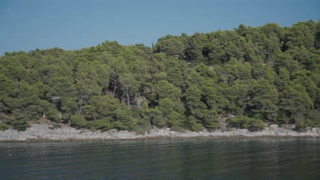 dense trees covering rocky mountain on the calm shoreline. static shot