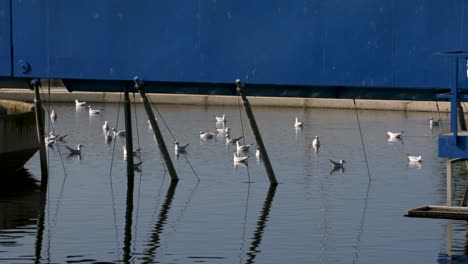 instalación de tratamiento y reciclaje de aguas residuales