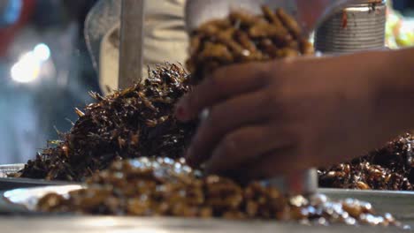 Nachts-Haufen-Frittierter-Insekten-Am-Straßenrand