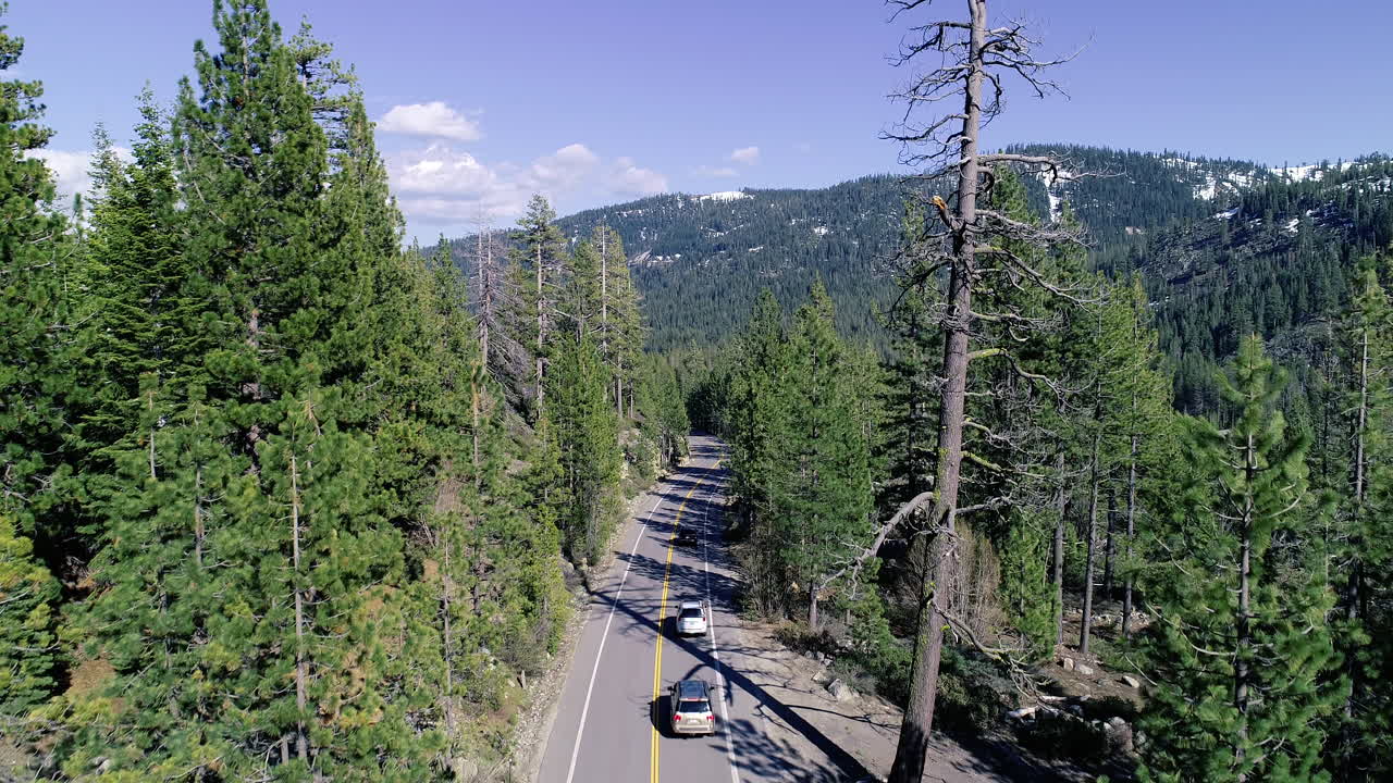 Fly over road showing a forest