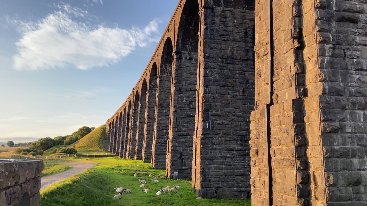 Ruční úvodní záběr zblízka viaduktu Ribblehead při východu slunce ve zlaté hodince se sedícími ovcemi.