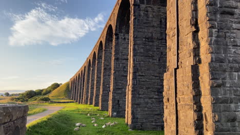 Establishing-Handheld-Shot-up-Close-to-Ribblehead-Viaduct-at-Golden-Hour-Sunrise-with-Sheep-Sat-Down