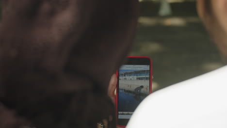 close-up of muslim couple viewing photos on smartphone outside.