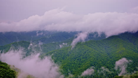 drone footage capturing mist-drenched peaks in the great smokies
