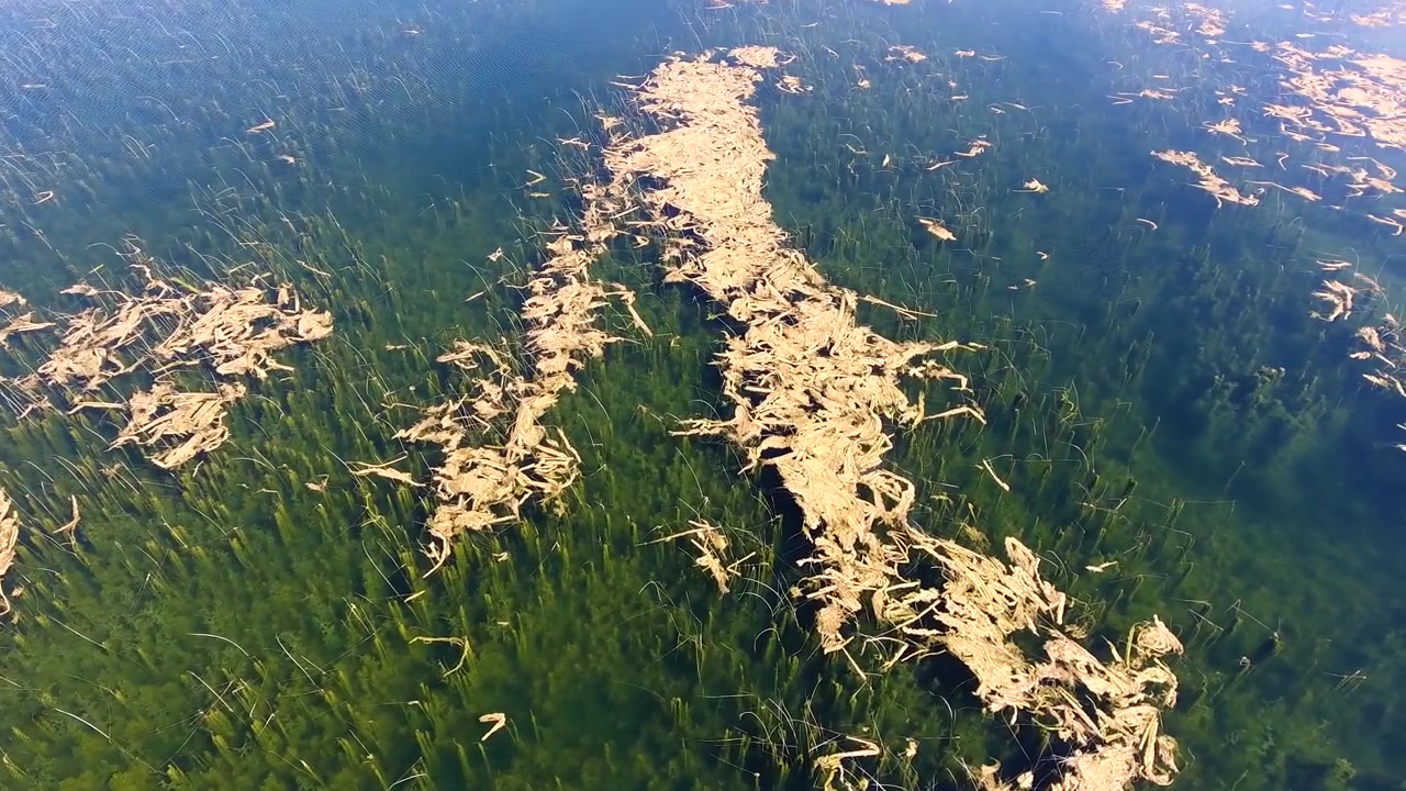 Flyfoto av Vannplanter og Alger i Klart Innsjøvann