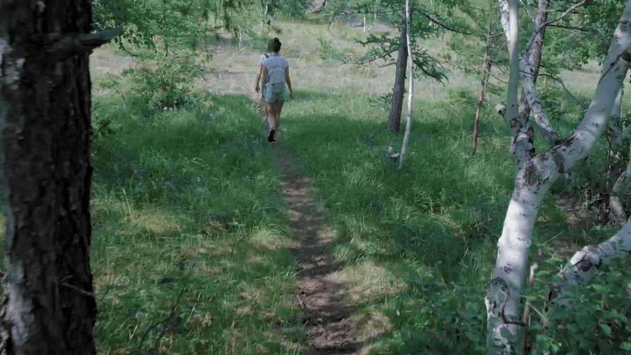 Hikers in a forest
