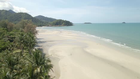 aerial footage ascends up over tropical white sand beach with coco palms, ocean and jungle