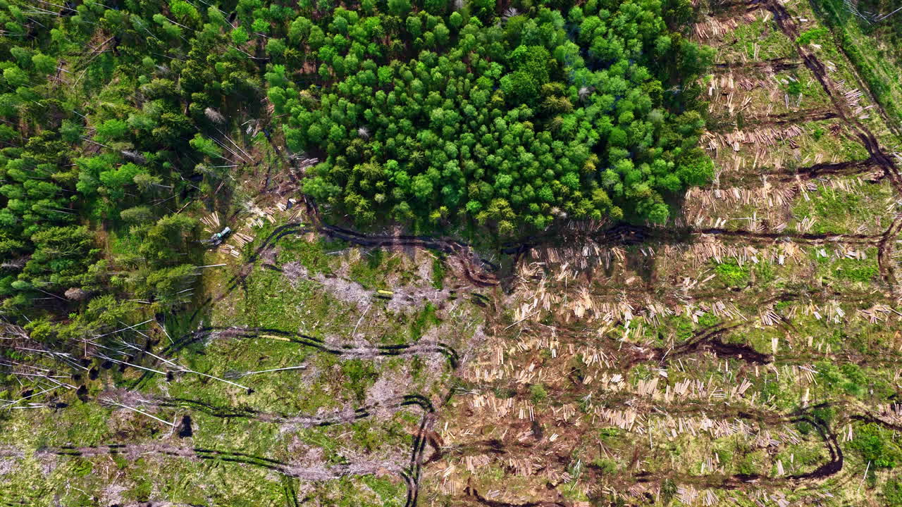Aerial view of forest area with partially clear cut sections and remaining green trees
