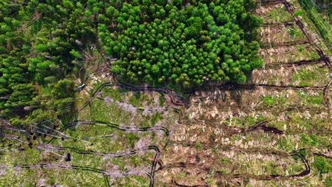 aerial view of forest area with partially clear cut sections and remaining green trees