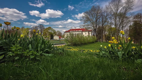 pakruojis residential manor in lithuania with blooming colorful yellow flowers and clouds moving in blue sky