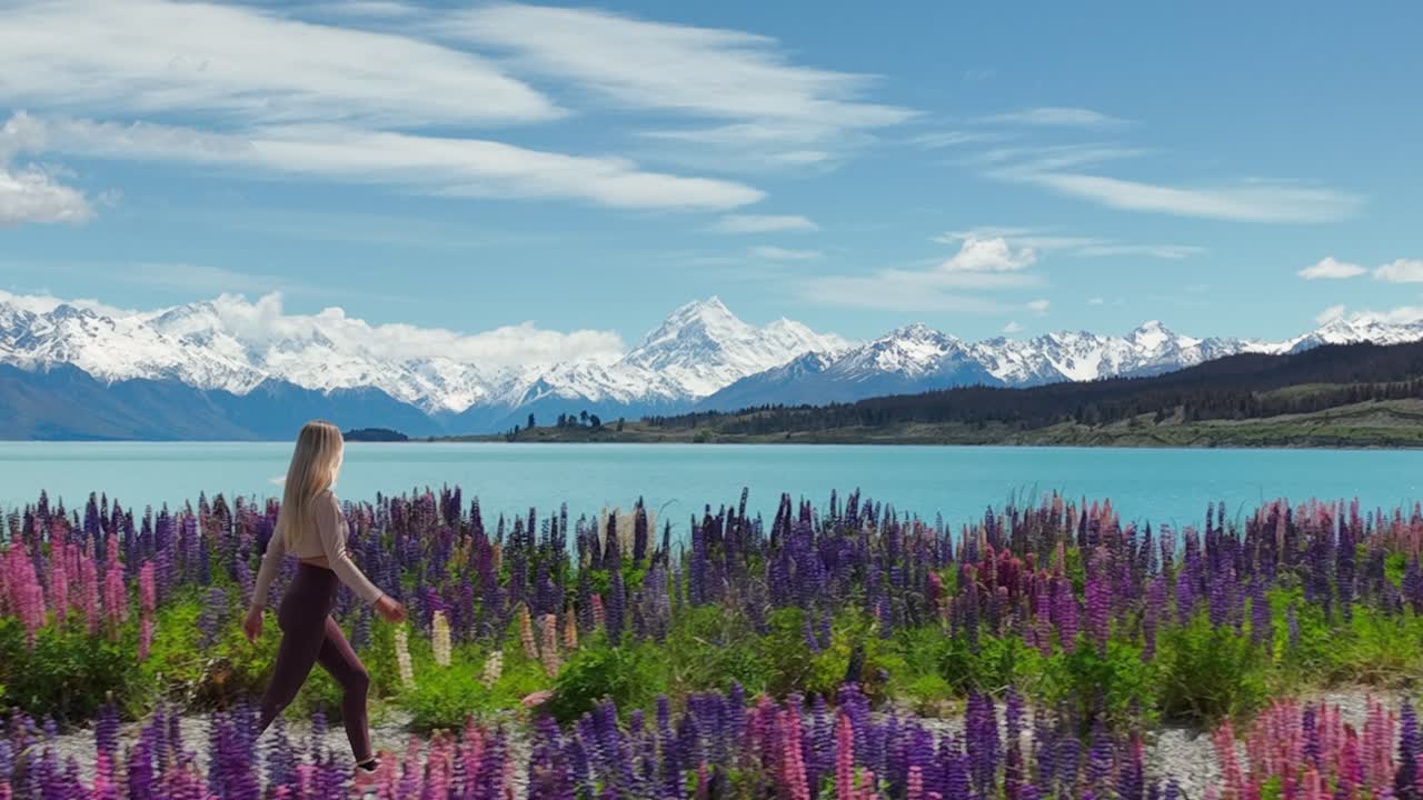 mujer activa caminando a través de la flor de lupino en la orilla del lago pukaki, mount cook