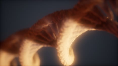 estructura en bucle de la animación de doble hélice de adn