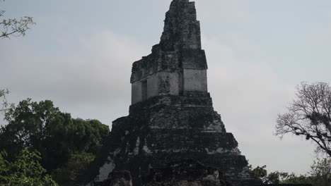 temple ii, the temple of the masks, stands tall in the great plaza of tikal, surrounded by trees and morning clouds in the sky.