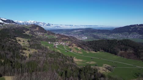 Luftaufnahme-Einer-Drohne,-Die-über-Feld-Und-Wald-Fliegt,-Mit-Blick-über-Vorarlberg,-Österreich