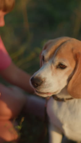 cerca del dueño del perro dando instrucciones a su perro atento, el perro mira atentamente al dueño, mostrando vínculo y comprensión, la niña en el fondo toca juguetón la espalda del perro