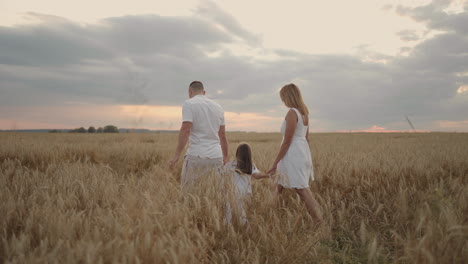 slow motion: happy family of farmers with child are walking on wheat field. healthy mother father and little daughter enjoying nature together outdoors.