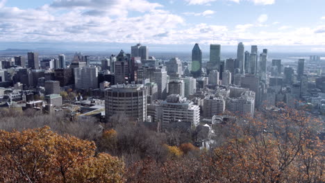 reveal of the montreal skyline from the mount-royal in autumn, in quebec, canada