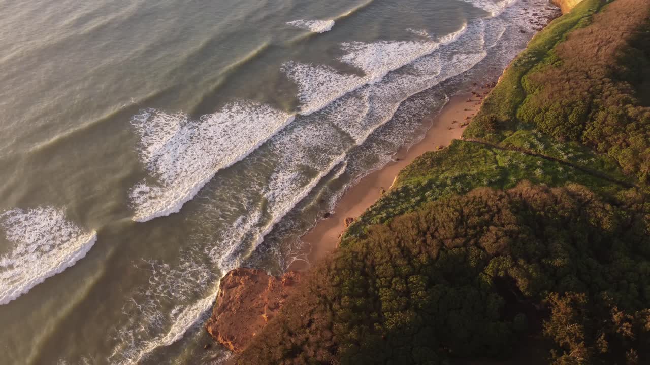 vista aérea pintoresca de árboles coloridos, pared de acantilado iluminada y olas del océano durante la puesta de sol - mar del plata, argentina