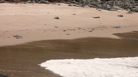 rough ocean waves rolling in smoothly onto sandy beach and receding back into the open seas