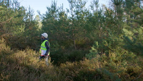 pine tree and plant specialist surveying surroundings preparing report