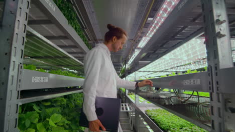 método hidroponico de cultivo de ensalada en invernadero. cuatro asistentes de laboratorio examinan el cultivo de plantas verdes. agricultura. industria.