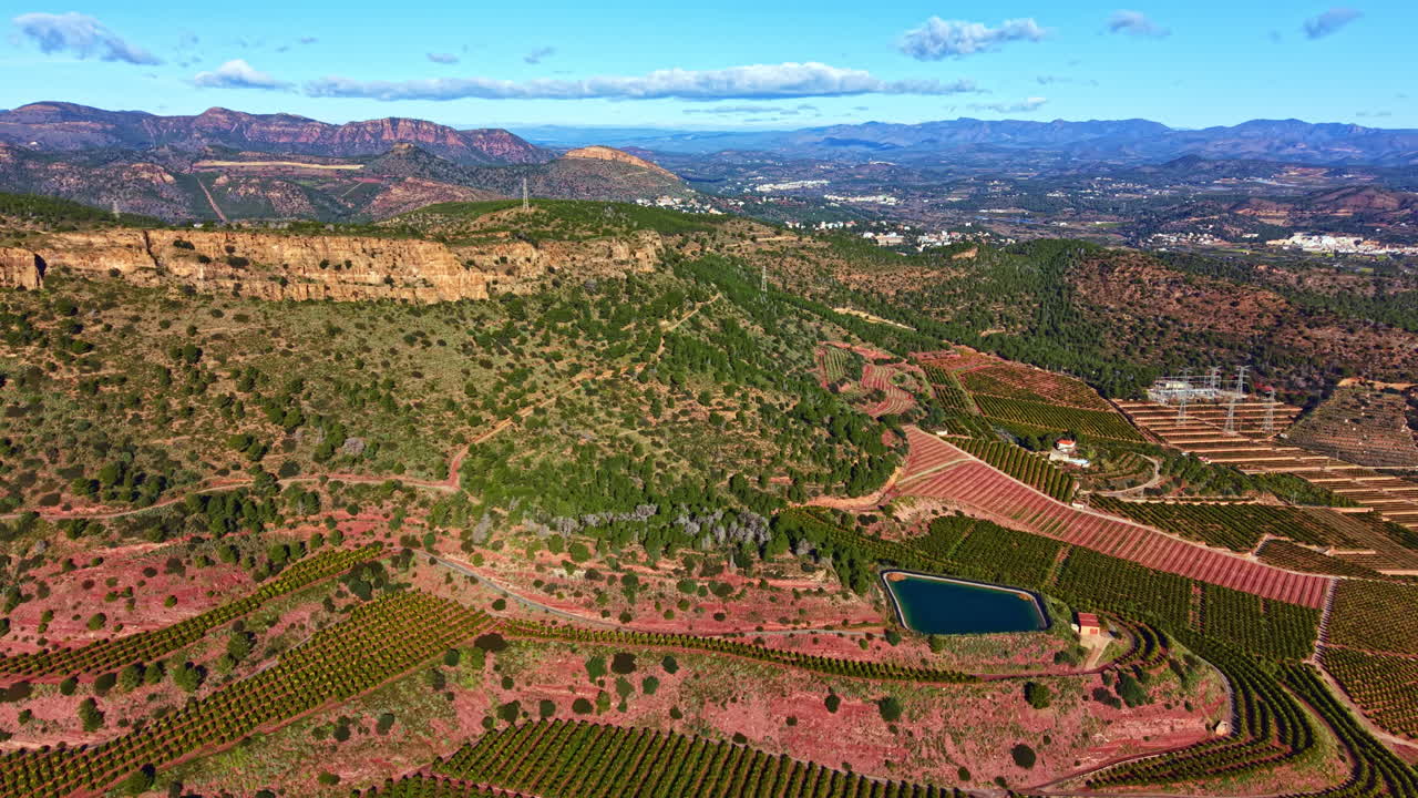 Pomares de laranja crescem em uma vasta área com colinas e campos sob um céu azul brilhante durante o dia em uma região com solo fértil.