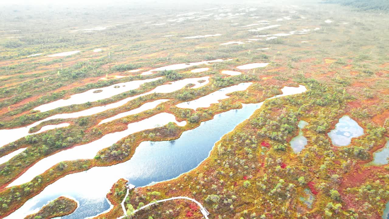 Aerial view of the Kemeri swamp showcasing natural beauty in Latvia