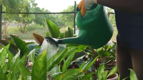 lift-green-watering-can-to-water-plants-slow