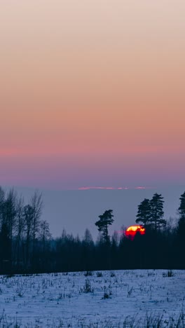 Vertical golden winter sunset timelapse over snowy field and forest silhouette. Tranquil nature scene with orange sky and large sun disc setting behind clouds and forest.