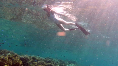 enjoying life one snorkelling trip at a time