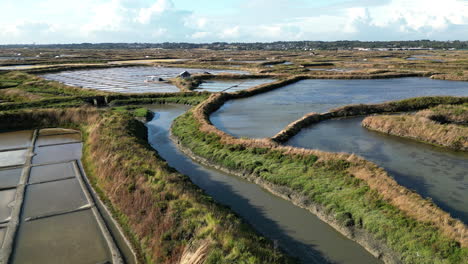 Upward-Tilt-Aerial-View-Revealing-the-Salt-Marshes-of-Guérande