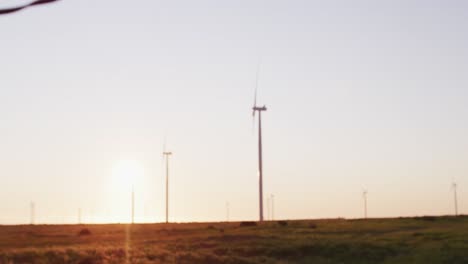 Wind-turbines-in-countryside-landscape-with-cloudless-sky-at-sunset