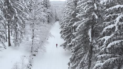 Luftaufnahme-Mit-Blick-Auf-Einen-Pfad-Mit-Laufendem-Mann-Inmitten-Von-Schneebedeckten-Bäumen-Und-Verschneitem-Wald,-An-Einem-Bewölkten-Wintertag---Drohnenaufnahme,-Kamerafahrt