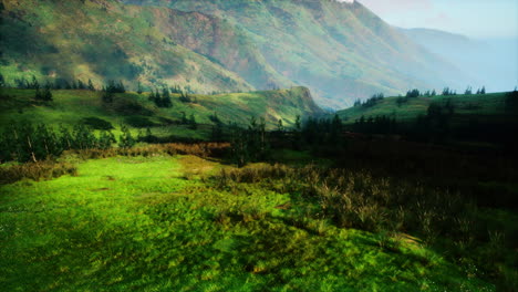 green hills and mountains with trees