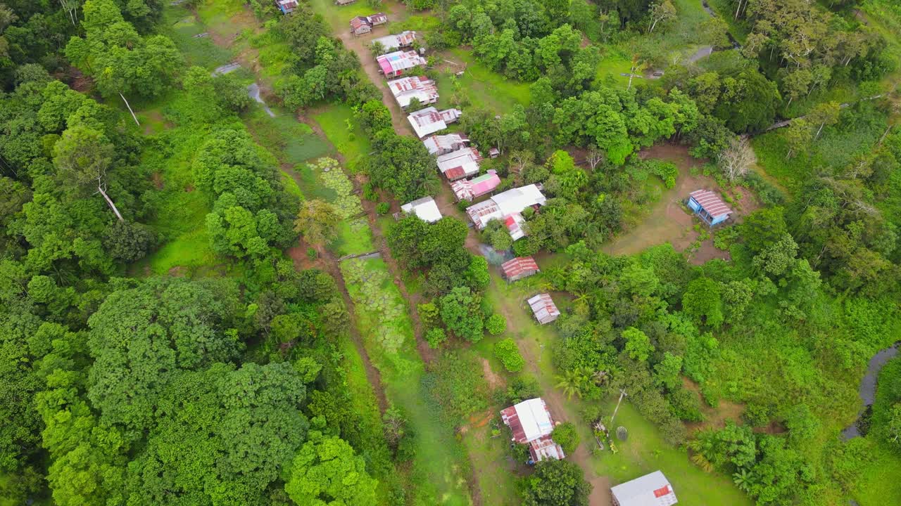vista aérea moviéndose hacia adelante, acercándose a puerto nariño en la orilla del río amazonas en colombia, selva amazónica en el fondo
