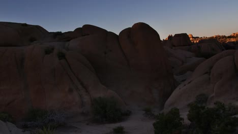 Tree-Boulder-Shadow-0