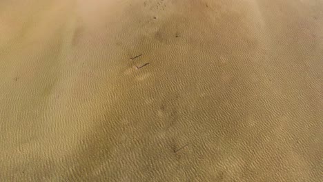 Two-people-walking-on-a-sandbar-in-the-ocean-in-hawaii