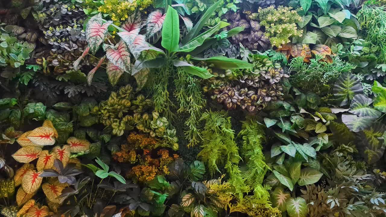 Slow close up pan of artificial green living wall with a variety of plastic plants and flowers