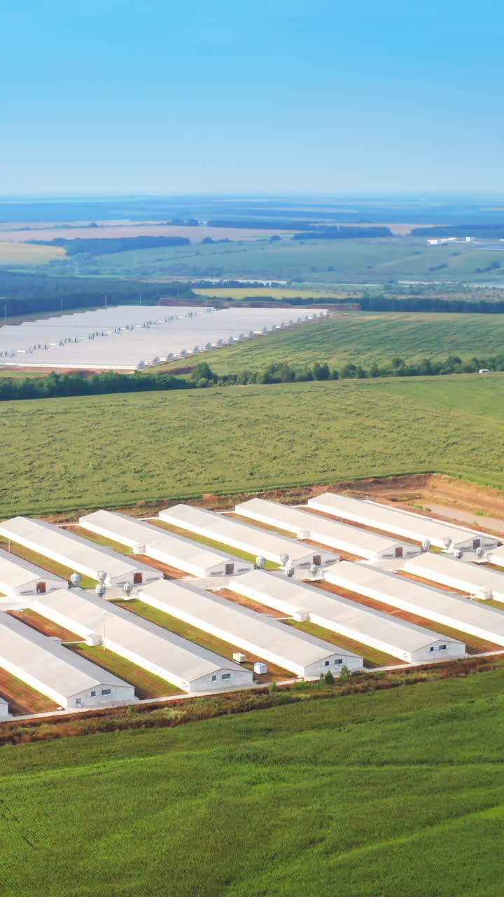 Growing fresh vegetables and fruits in big greenhouses. Greenhouse building. Vertical video