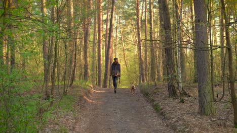 girl and dog enjoying a walk in beautiful spring forest