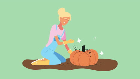 woman harvesting a pumpkin
