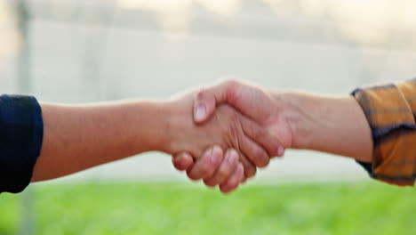 a handshake between two people