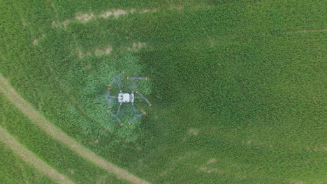 Vista-Aérea-De-ángulo-Alto-De-Drones-Agrícolas-Volando-Y-Rociando-Pesticidas-En-Campos-Agrícolas-Verdes